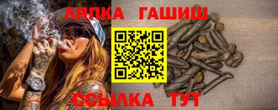 PSILOCYBIN Будённовск