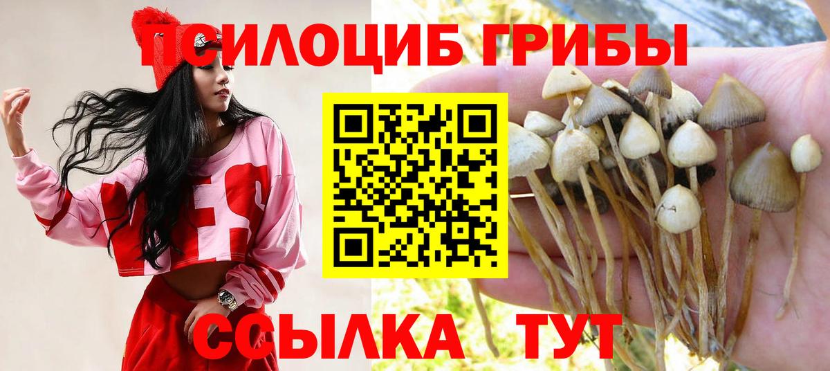 Псилоцибиновые грибы Psilocybine cubensis Борзя
