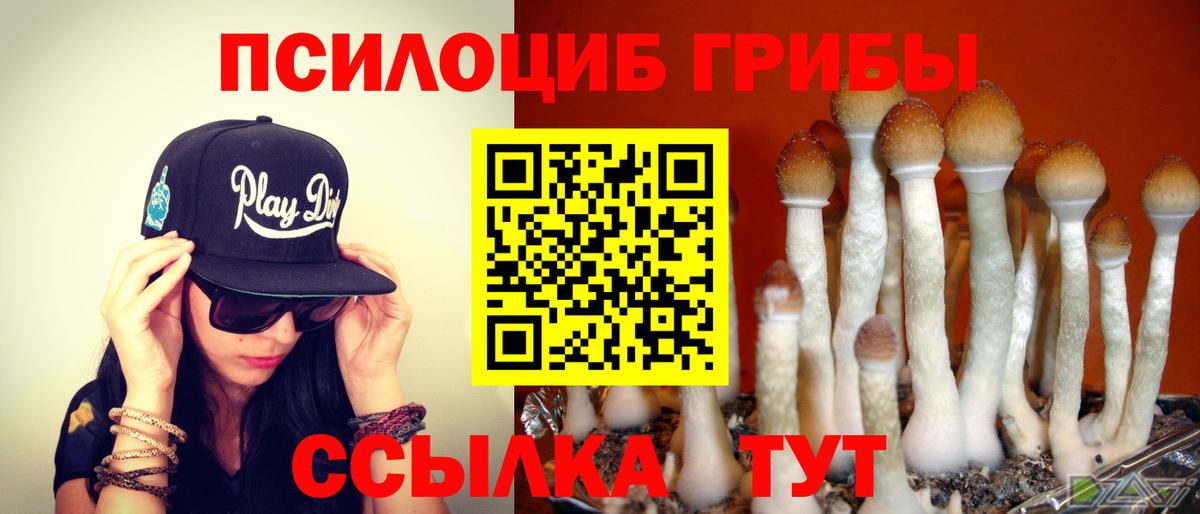 цены наркотик  Псилоцибиновые грибы MAGIC MUSHROOMS  Вход с VPN  Борзя 